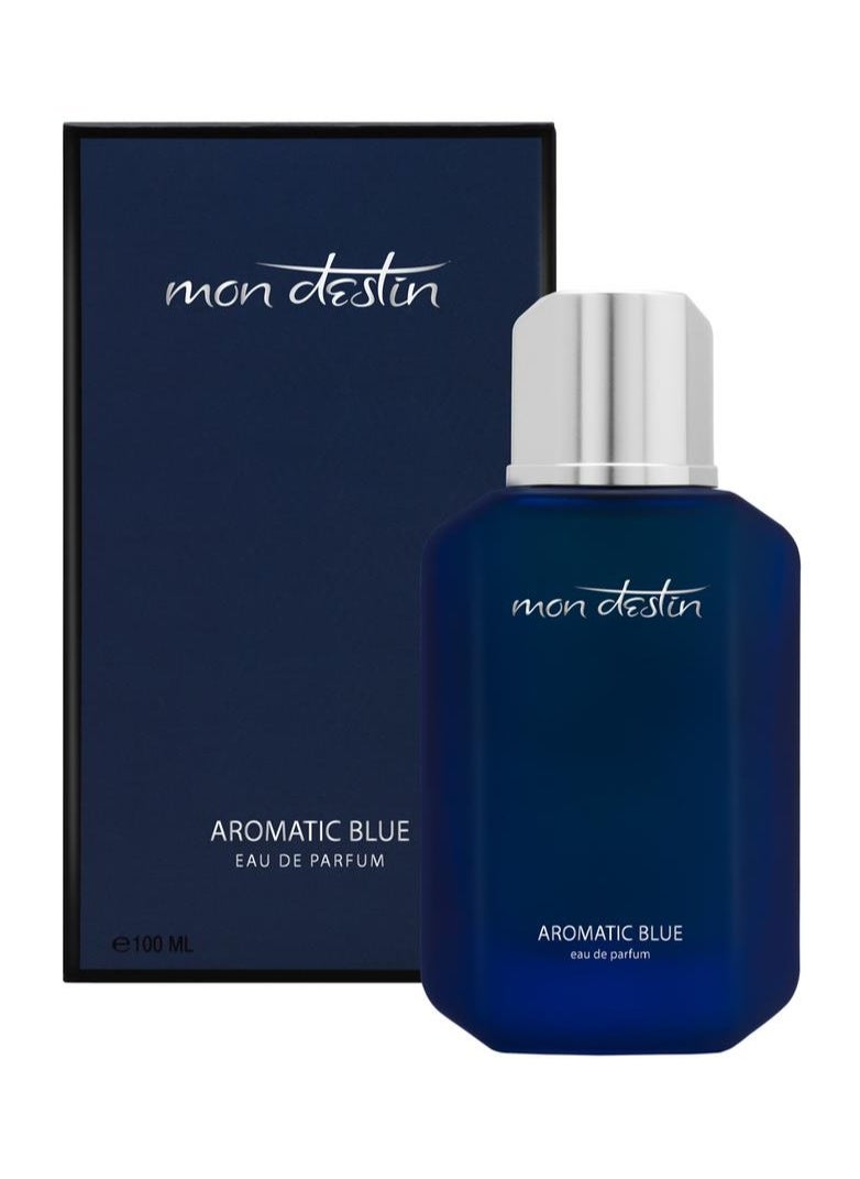 Mon Destin - Mon Destin Aromatic Blue EDP Inspired by Chanel Bleu For Men Eau De Parfum 100ml - Image 1