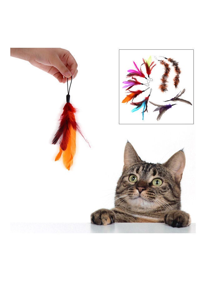 NIBEMINENT 9-Piece Natural Long Feather - Image 4