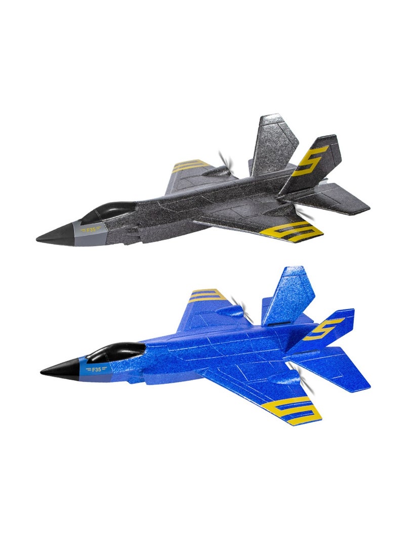Oversized Battle RC Glider 