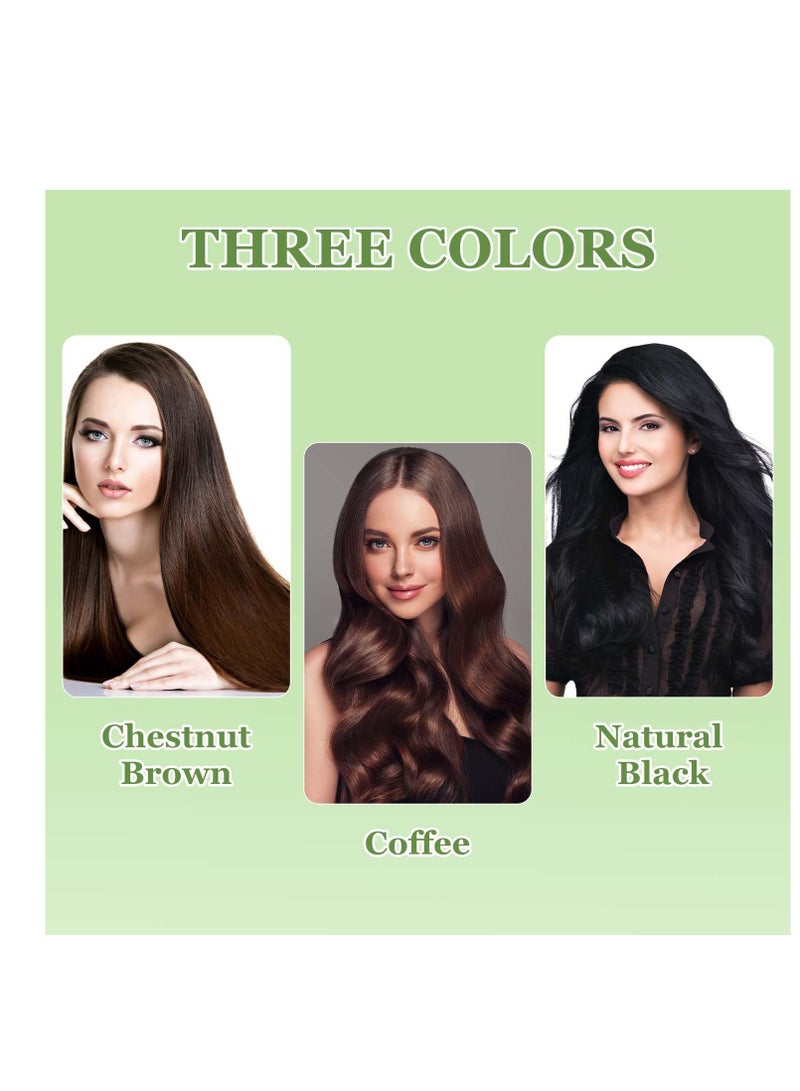 SYOSI Natural Plant Hair Dye, 20ml 10Packs/Box Botanical Bubble Plant Hair Dye, Hair Dye for Hair Coverage, Natural Plant Hair Dye Shampoo, Fruitcolor Hair Dyeing Cream, for Women Men (Black) - Image 3