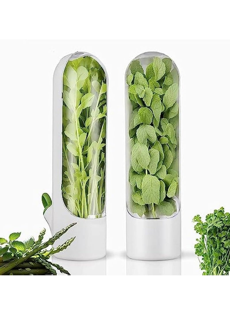 ميكسد الحفاظ على اثنين من الفانيليا ، ثلاجة مع الفانيليا الحفاظ على الحاويات ، سيلانترو ، الفانيليا الحفاظ على حزمة ، يمكن الحفاظ على الخضروات الخضراء والنعناع والبقدونس والهليون لمدة 2-3 أسابيع - Image 1