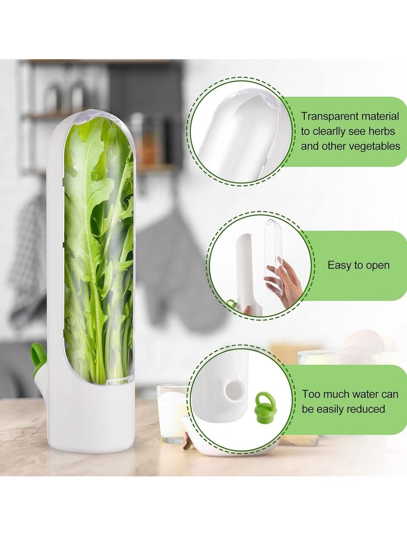 ميكسد الحفاظ على اثنين من الفانيليا ، ثلاجة مع الفانيليا الحفاظ على الحاويات ، سيلانترو ، الفانيليا الحفاظ على حزمة ، يمكن الحفاظ على الخضروات الخضراء والنعناع والبقدونس والهليون لمدة 2-3 أسابيع - Image 5