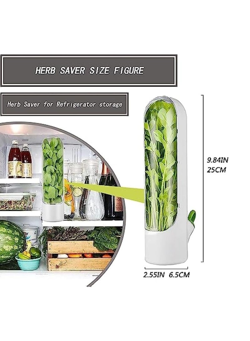 ميكسد الحفاظ على اثنين من الفانيليا ، ثلاجة مع الفانيليا الحفاظ على الحاويات ، سيلانترو ، الفانيليا الحفاظ على حزمة ، يمكن الحفاظ على الخضروات الخضراء والنعناع والبقدونس والهليون لمدة 2-3 أسابيع - Image 3