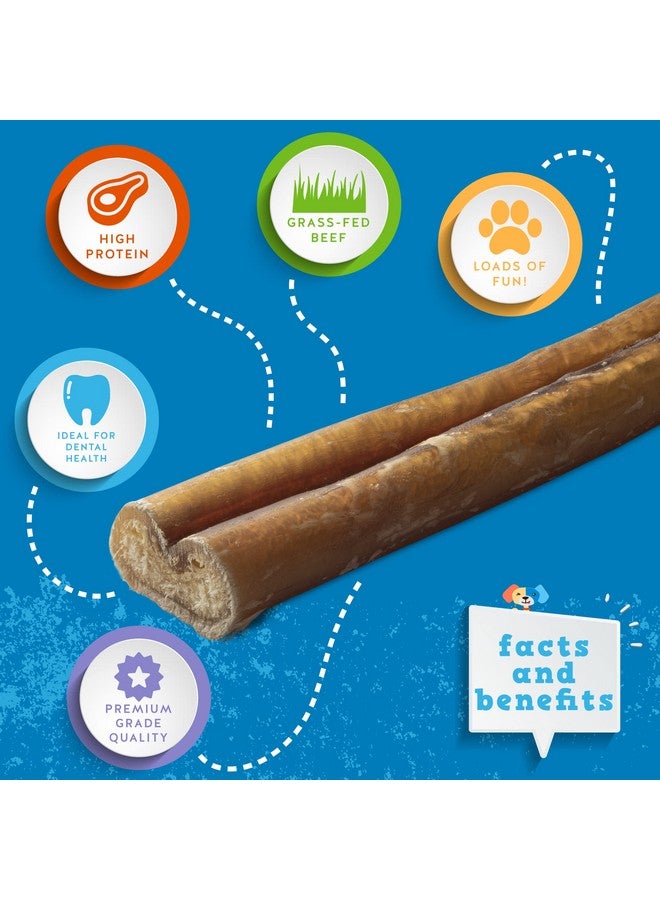 Jack&Pup Thick Bully Sticks | 12 Inch Bully Sticks For Large Dogs Aggressive Chewers | Single Ingredient, Odor Free, Long Lasting Dog Chews (10 Pack) - Image 2