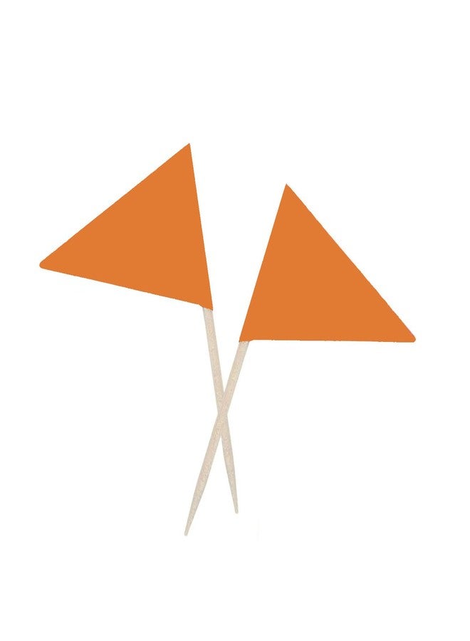 JAVD Solid Orange Toothpick Flags Small Mini Plain Orange Color Triangle Stick Cupcake Toppers Flags DIY Decoration (100 Pcs) - Image 4