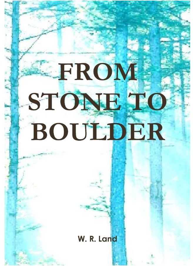 From Stone to Boulder  - Image 1