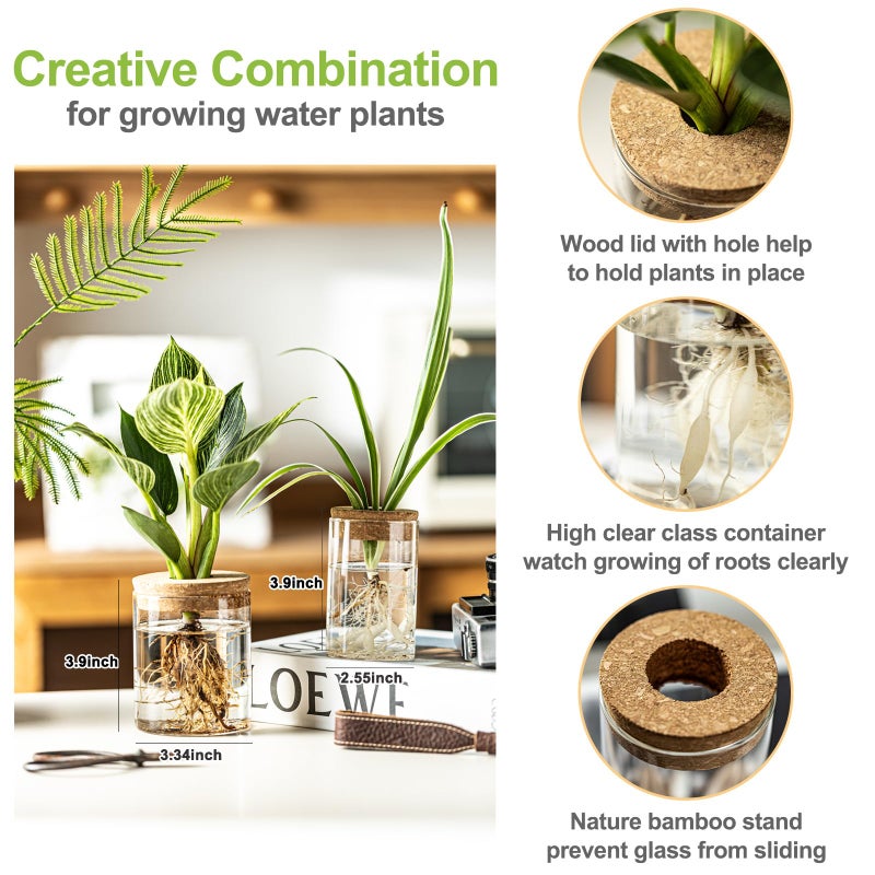 wangsdjy Glass Plant Propagation Stations for Plants â€“ Set of 4(2 Large & 2 Small) Hydroponic Vases for Plant Cuttings,Flower Arrangements, Home & Office Decorâ€“Desktop Vases for Living Room, Bedroom (4) - Image 2