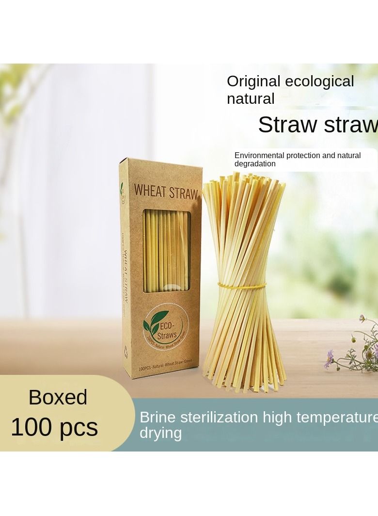 Y&D 100-Piece Plant Wheat Straws Set - Image 1