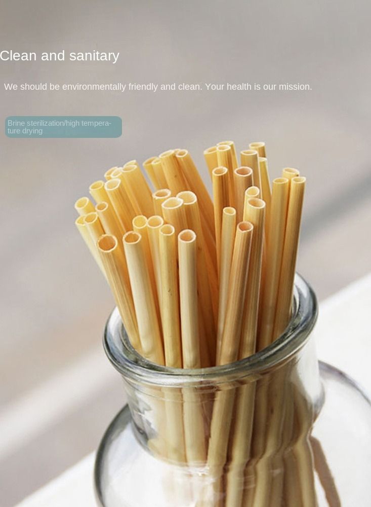Y&D 100-Piece Plant Wheat Straws Set - Image 3