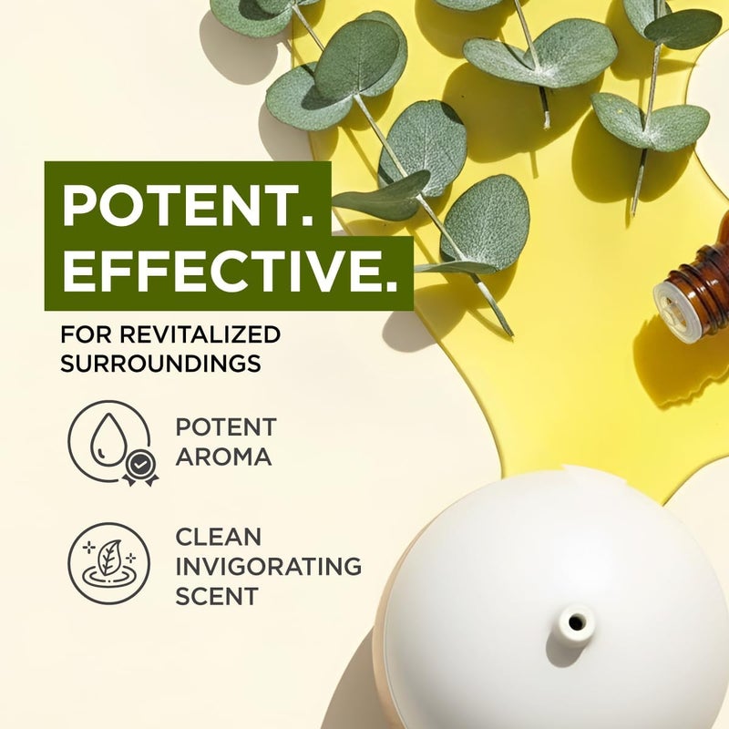 Gya Labs Eucalyptus Essential Oil - 0.34 Fl Oz - for Hair, Skin, Diffuser, Aromatherapy & DIY Candle Making Scent - Image 3