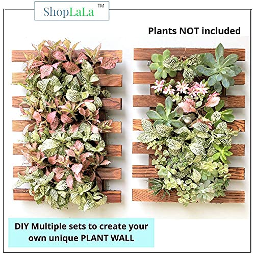 ShopLaLa Wall Planter - 2 Pack Wooden Orchid Planter Frame Display Outdoor Plants, Wall Mount Air Plants Succulent Holder Hanger, Vertical Garden Plant Wall Decor Macetas para Orquideas 15.7" (40cm) - Image 4
