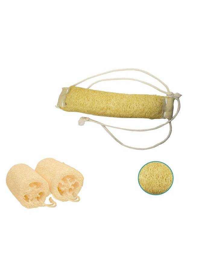 Indigenous Living Indigenous Living - Natural Loofah for Bathing Exfoliating Scrubbers | Organic Bath Sponge for Spa Shower | Face, Back and Body Scrubber | Eco-Friendly (Combo 2 Large & Back Scrubber with Long Thread)  - Image 1