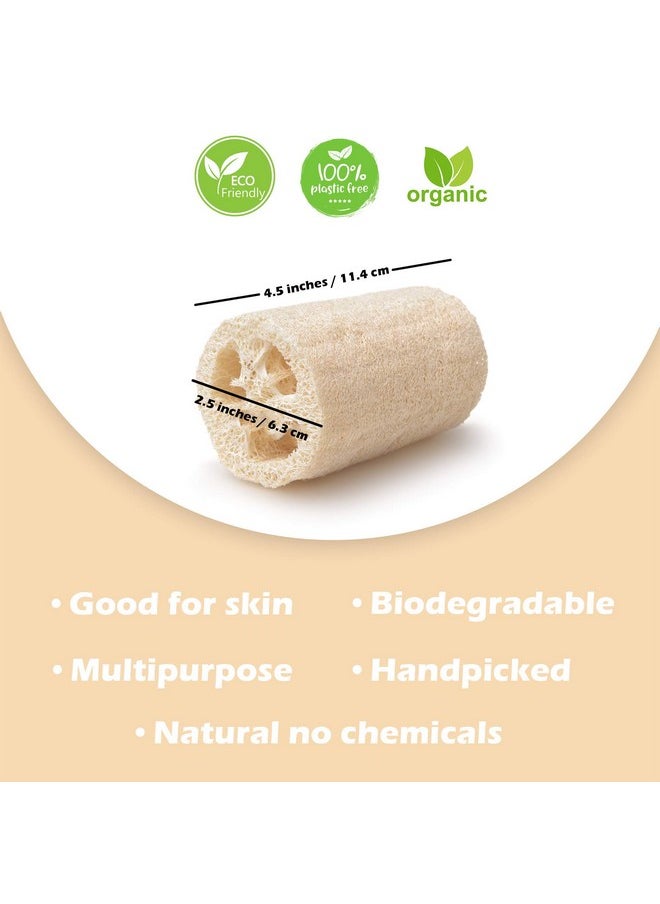Indigenous Living Indigenous Living - Natural Loofah for Bathing Exfoliating Scrubbers | Organic Bath Sponge for Spa Shower | Face, Back and Body Scrubber | Eco-Friendly (Combo 2 Large & Back Scrubber with Long Thread)  - Image 4