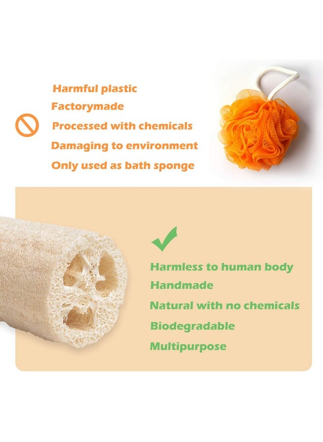 Indigenous Living Indigenous Living - Natural Loofah for Bathing Exfoliating Scrubbers | Organic Bath Sponge for Spa Shower | Face, Back and Body Scrubber | Eco-Friendly (Combo 2 Large & Back Scrubber with Long Thread)  - Image 5