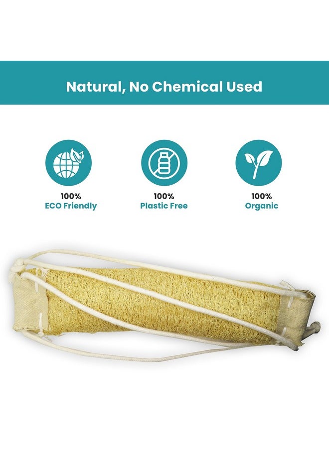 Indigenous Living Indigenous Living - Natural Loofah for Bathing Exfoliating Scrubbers | Organic Bath Sponge for Spa Shower | Face, Back and Body Scrubber | Eco-Friendly (Combo 2 Large & Back Scrubber with Long Thread)  - Image 3