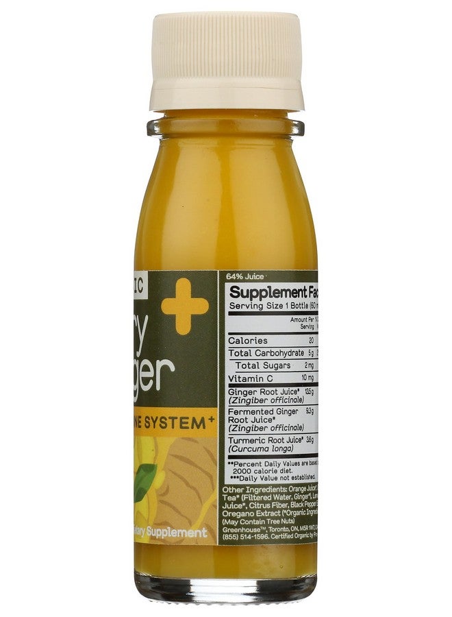 Greenhouse جرعة الزنجبيل الحار العضوي من غرين هاوس، 2 أونصة - Image 4