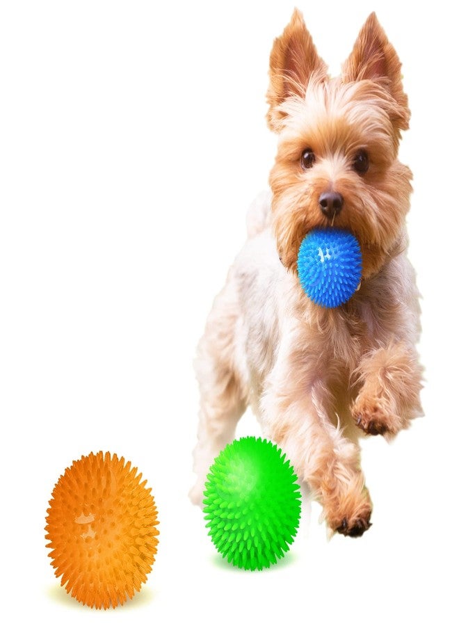 Meric CoCoo 3-Pack Squeaky Dog & Ferret Ball Toys, 2.3", Massage Teeth and Gums, Spikey Cat Rubber Balls, Toss Fetch Squeeky Doggy Balls for Multi-Pet Homes - Image 3