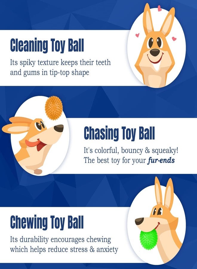 Meric CoCoo 3-Pack Squeaky Dog & Ferret Ball Toys, 2.3", Massage Teeth and Gums, Spikey Cat Rubber Balls, Toss Fetch Squeeky Doggy Balls for Multi-Pet Homes - Image 4