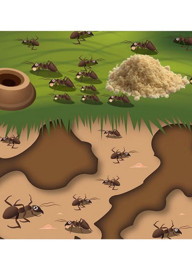 Generic Cockroach Killer Powder  Ant Killer 10 PCS Public Health Pesticide to Control Ants and Cockroaches  - Image 5