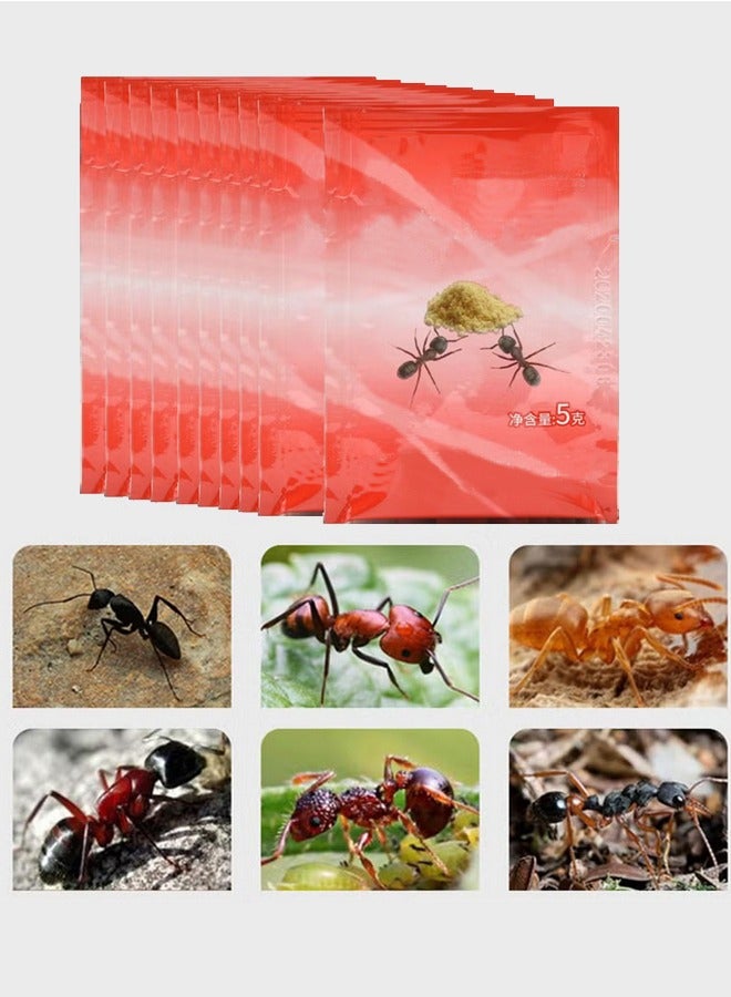 Generic Cockroach Killer Powder  Ant Killer 10 PCS Public Health Pesticide to Control Ants and Cockroaches  - Image 1