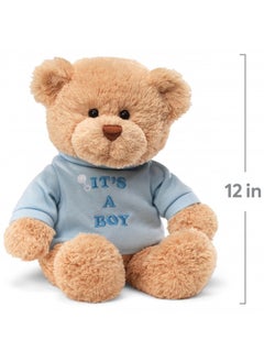 Gund It’S A Boy T-Shirt Teddy Bear Stuffed Animal Plush, Blue, 12”, Tan (15418) - pzsku/Z28A8AEA062B07FCE9A60Z/45/_/1726645393/6443648d-4cd1-4f93-872a-b547f475e7c4