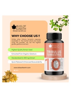 BLISS OF EARTH Bliss of Earth Tribulus Terrestris Extract Supplement For Men & Women, 500mg High Potency Gokshura Root Extract 60 Veg Capsules For Energy, Stamina & Muscle Growth  - Image 3