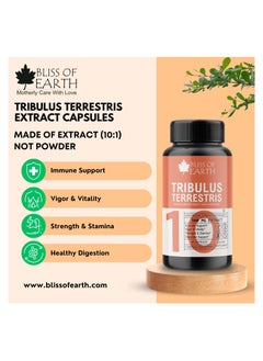 BLISS OF EARTH Bliss of Earth Tribulus Terrestris Extract Supplement For Men & Women, 500mg High Potency Gokshura Root Extract 60 Veg Capsules For Energy, Stamina & Muscle Growth  - Image 2
