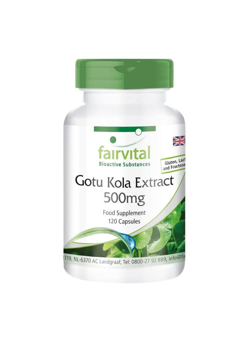 Fairvital Gotu Kola Extract 500mg – with Vitamin C & Zinc  For Immune System Support & Cell Protection – 120 Capsules – Made in Germany - Image 1