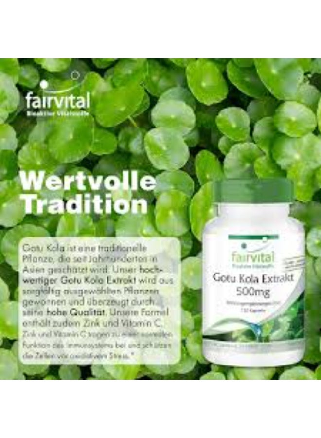 Fairvital Gotu Kola Extract 500mg – with Vitamin C & Zinc  For Immune System Support & Cell Protection – 120 Capsules – Made in Germany - Image 2