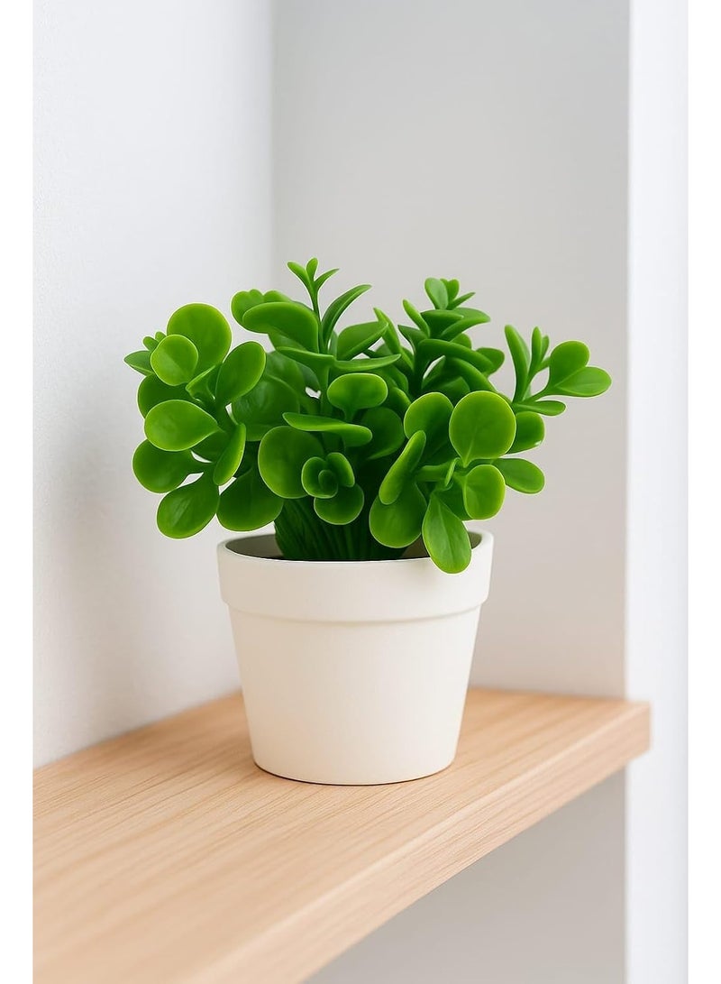 نبات أخضر صغير صناعي مع وعاء أبيض ومزهرية صغيرة مزيفة من بيبيروميا أوبتوسيفوليا لتزيين المنزل والمكتب والديكور الداخلي والخارجي - Image 4