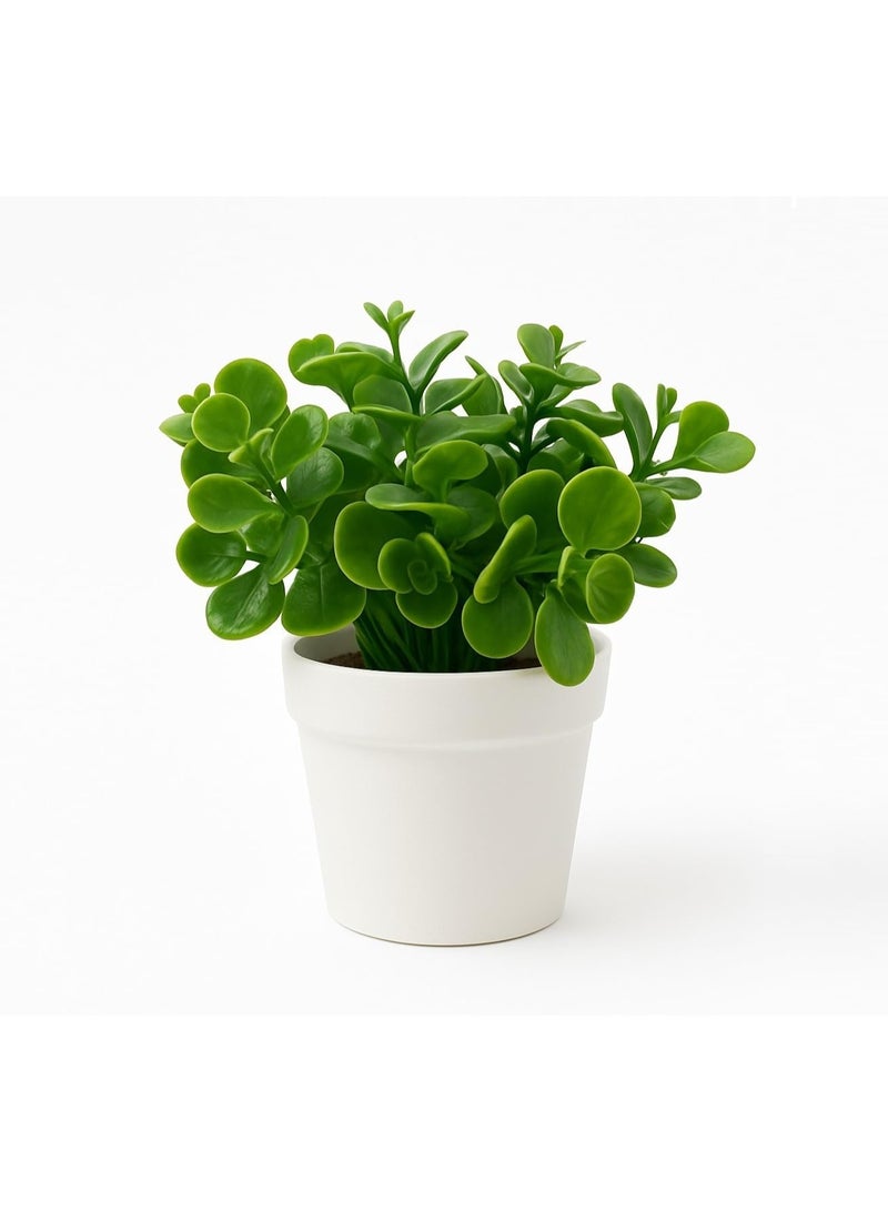 نبات أخضر صغير صناعي مع وعاء أبيض ومزهرية صغيرة مزيفة من بيبيروميا أوبتوسيفوليا لتزيين المنزل والمكتب والديكور الداخلي والخارجي - Image 1