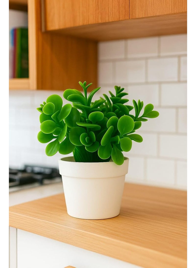 نبات أخضر صغير صناعي مع وعاء أبيض ومزهرية صغيرة مزيفة من بيبيروميا أوبتوسيفوليا لتزيين المنزل والمكتب والديكور الداخلي والخارجي - Image 2