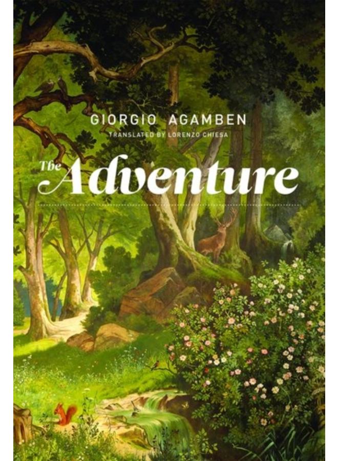 The Adventure 