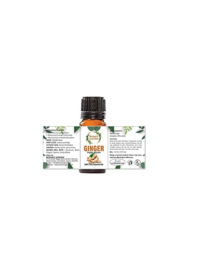 BOTANIC GARDEN الزنجبيل | Zingiber Officinale | زيت مضغوط بارد وزيت غير مكرر للعناية بالشعر والبشرة (10 مل) - Image 2