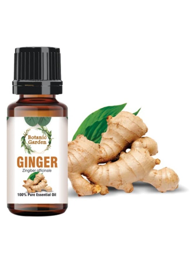 BOTANIC GARDEN الزنجبيل | Zingiber Officinale | زيت مضغوط بارد وزيت غير مكرر للعناية بالشعر والبشرة (10 مل) - Image 1