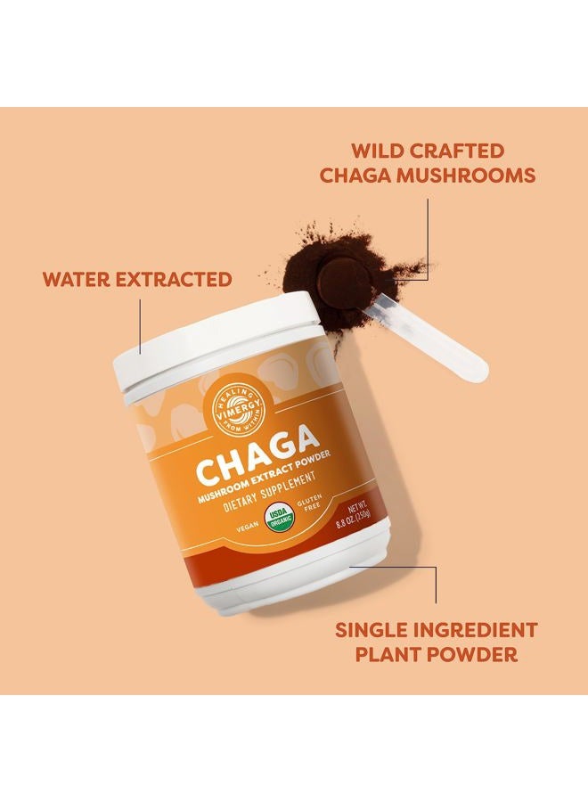 Vimergy USDA Organic Wild Chaga Mushroom Extract Powder, 166 Servings – Ideal in Chaga Tea, Coffee, Smoothies – Cardiovascular Support - Kosher, Vegan, No Gluten, Paleo - Pure Chaga, No Fillers (250g) - Image 3