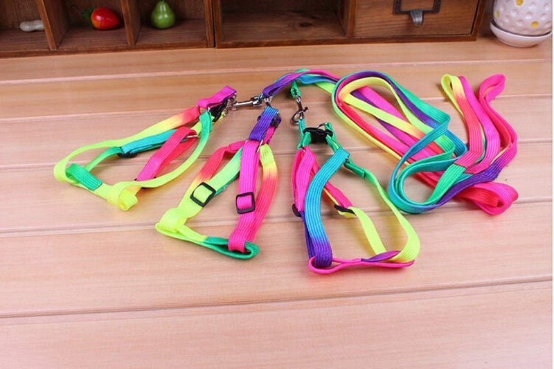 Pups&Pets Bird Rainbow Color Harness and Leash Set | Safe Adjustable Harness with Buckle | Long 47inch Anti bite Training Rope Leash for Macaw & Large Size Birds (Width - 10 MM) - Image 2