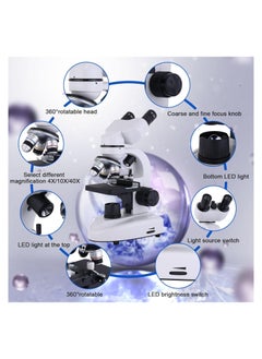Generic Binocular Compound Microscope 40X-2000X, Research Grade Professional Microscope with Dual Mechanical Stages & Coaxial Coarse/Fine Focus Knobs, Adult Microscope, Kids Students Adults Phone Adapter  - Image 4