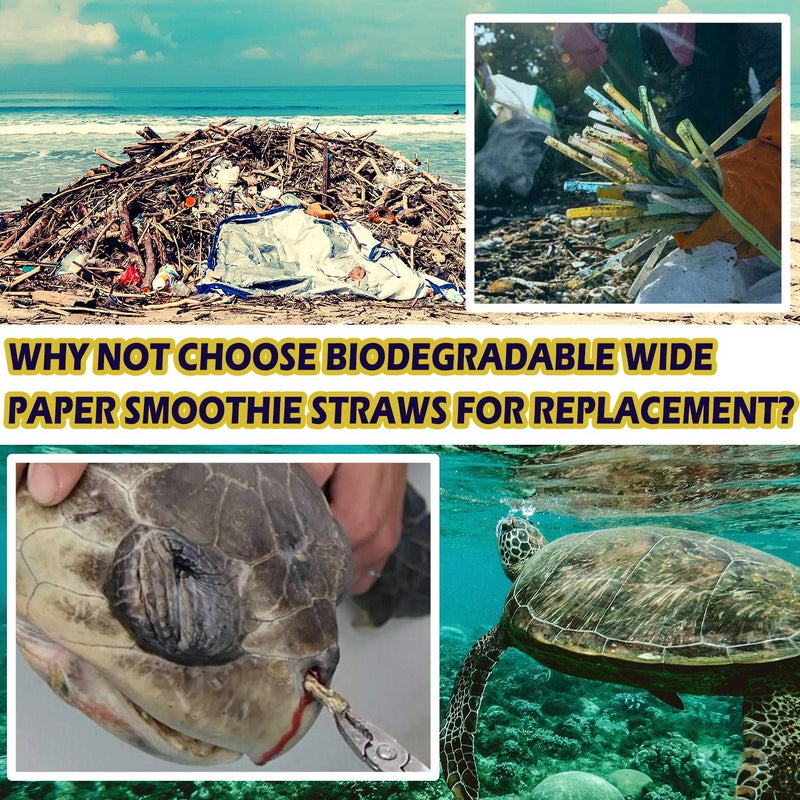 Hiware 100 Pack, Extra Wide Paper Smoothie, Boba Straws - 10 mm Wide Biodegradable Straws for Bubble Tea (Tapioca, Boba Pearls), Milkshakes, Jumbo Drinks - Shower, Wedding Party Supplies Decorations - Image 2