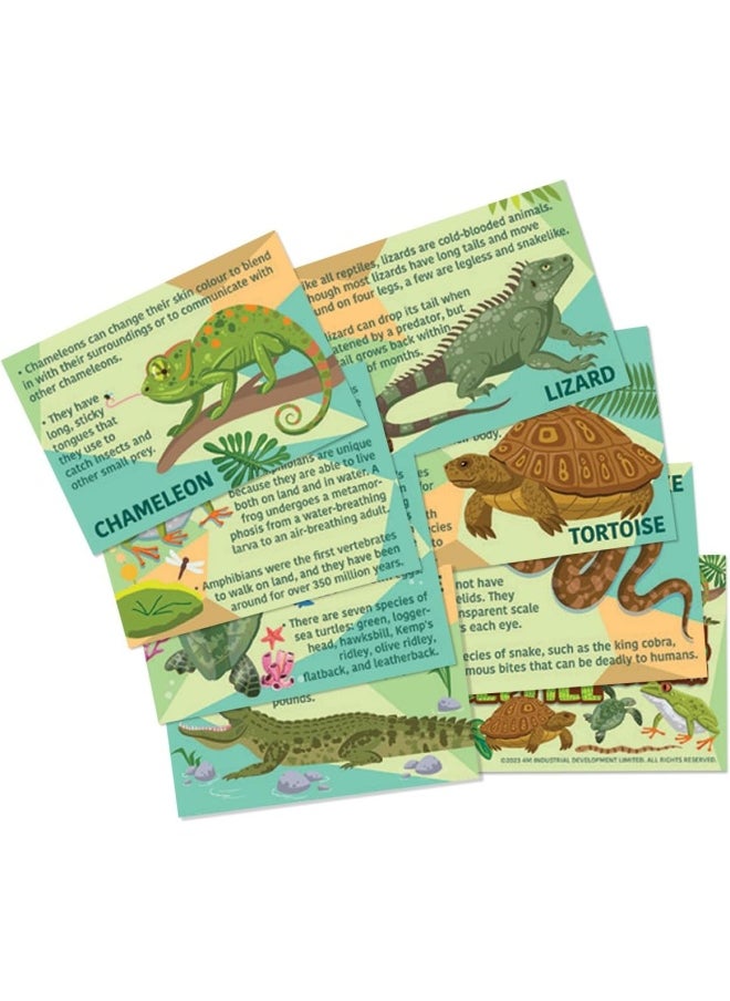 4m 4M Mould & Paint Reptile & Amphibian Craft Kit  - Image 4