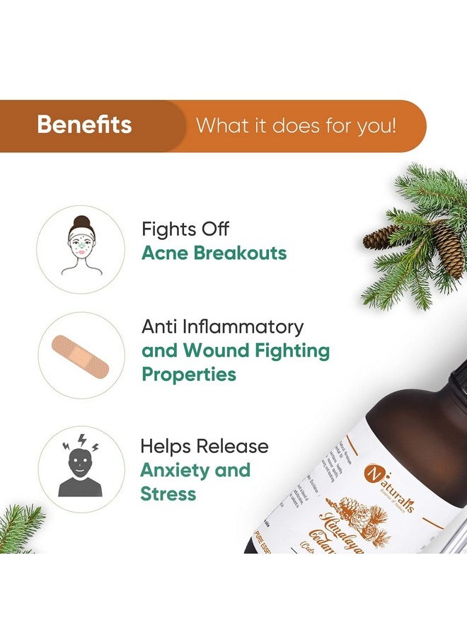 Naturalis Essence Of Nature Himalayan Cedarwood Essential Oil For Skin, Hair And Aromatherapy - 120Ml  - Image 4