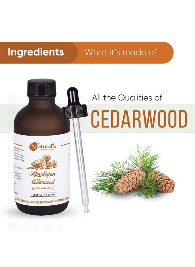 Naturalis Essence Of Nature Himalayan Cedarwood Essential Oil For Skin, Hair And Aromatherapy - 120Ml  - Image 3