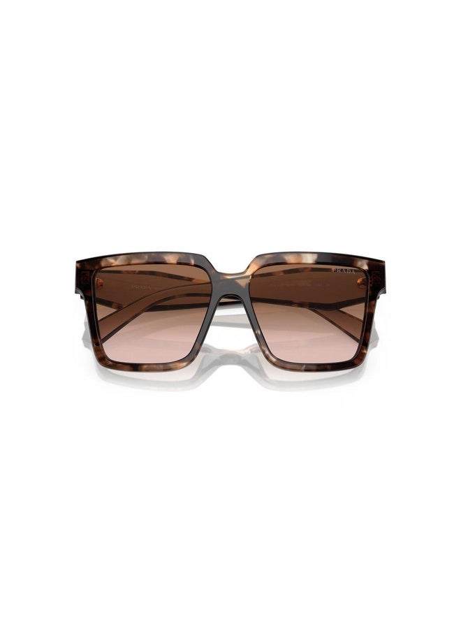 PRADA Woman SQUARE  SUNGLASSES- PR 24ZS - lense size:56mm - CARAMEL TORTOISE - Image 4