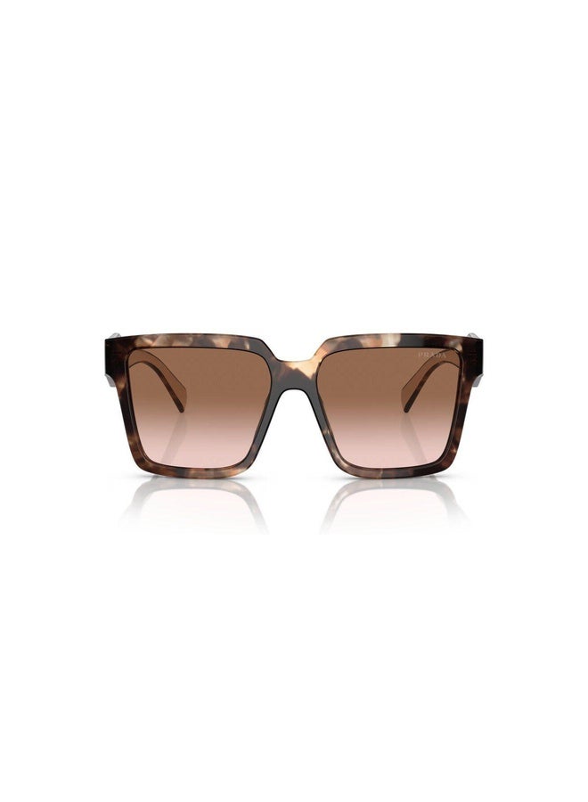 PRADA Woman SQUARE  SUNGLASSES- PR 24ZS - lense size:56mm - CARAMEL TORTOISE - Image 1
