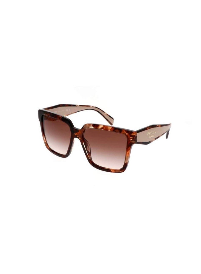 PRADA Woman SQUARE  SUNGLASSES- PR 24ZS - lense size:56mm - CARAMEL TORTOISE - Image 5