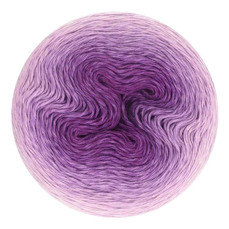 Scheepjes Whirl Gradient Yarn Cake Shade 558 Shrinking Violet 1094 yd 1000 m 80 oz 226 g 35 mm