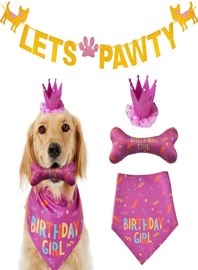 general Pet Birthday Party Outfit Set - Image 1