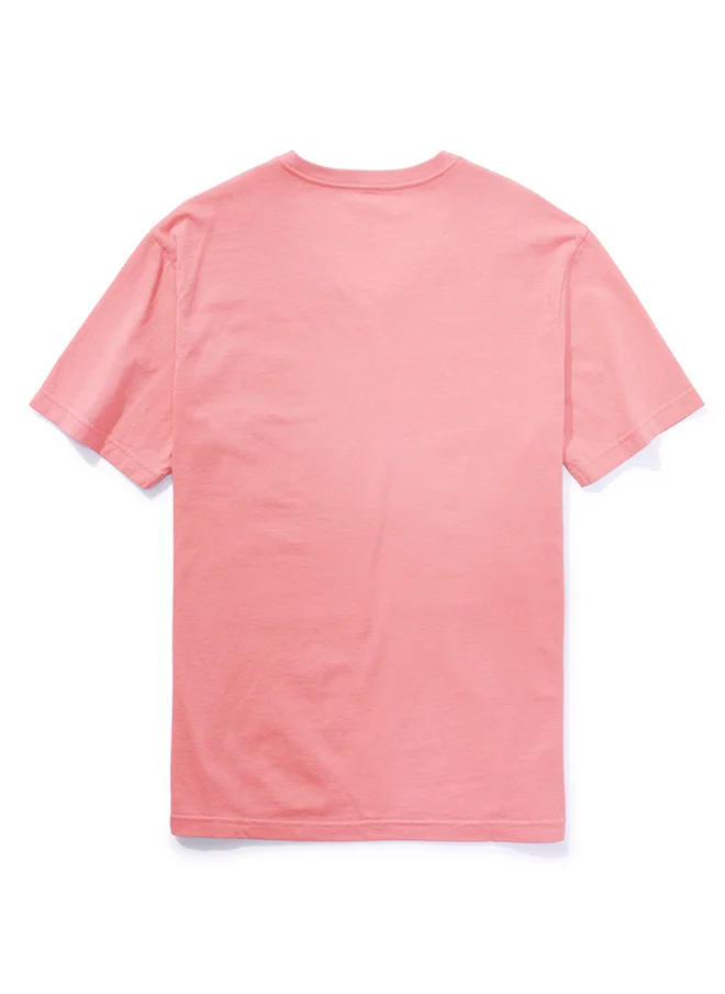 American Eagle Essential V-Neck T-shirt