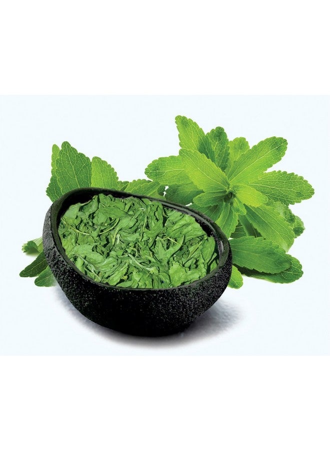 Holy Natural - The Wonder of World Holy Natural Stevia Leaves (Dried) -100 Gm  - Image 3