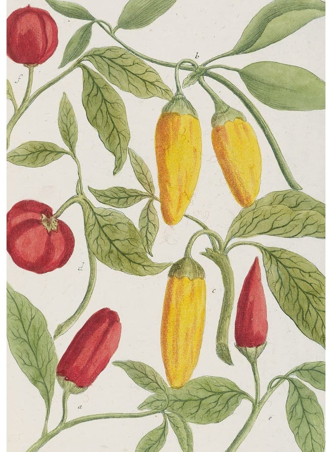 Botanical Art Notebook Set - Lemon, Chillis and Ap: 3 A5 Ruled Notebooks with Stitched Spines  - Image 2